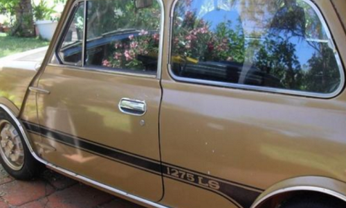 1275LS Side image nugget Gold stripes.png
