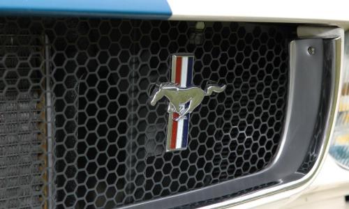 1965 SHelby GT 350 front badge.jpg