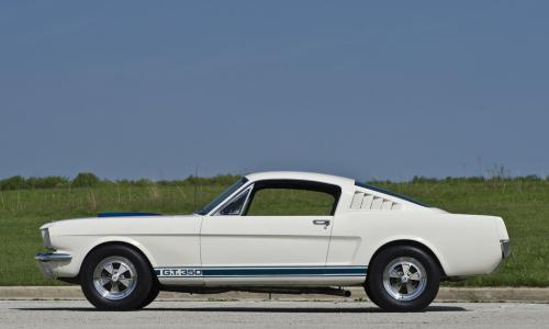 1965 Shelby GT 350 3.jpg