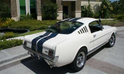 1965 Shelby GT 350 5.jpg