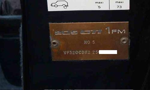 1FM 205 GTI plaque number 2.jpg