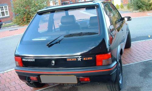 1FM special edition 205 GTI.jpg