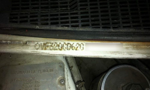 205 GTI chassis number Phase 1.5 Peugeot.png