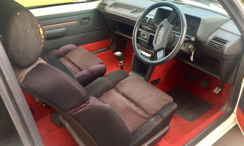 Biarritz trim Peugeot 205 GTI Phase 1.png