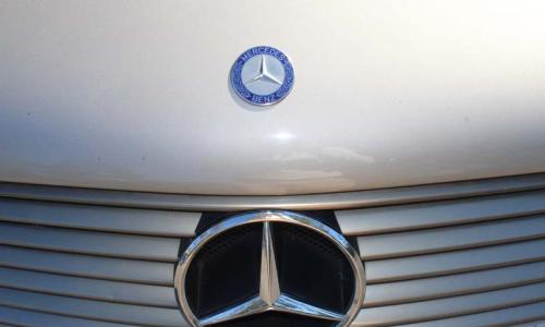 C140 Mercedes coupe S class front grille badges.jpg