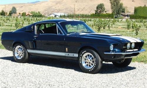 Ford Mustang Shelby GT 500 3.jpg