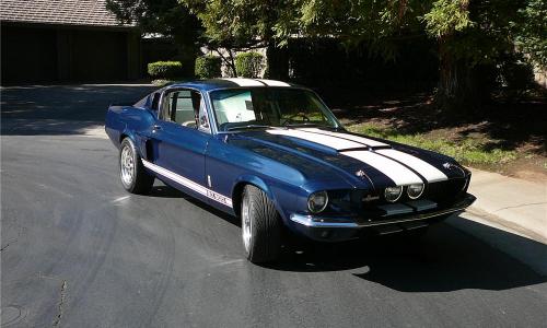 Ford Mustang Shelby GT 500.jpg