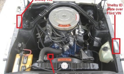 GT350 engine bay.jpg