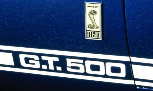 GT500 badge and stripes rocker.jpg