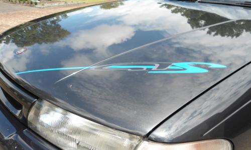 HAV GTS VP 1992 bonnet front sticker decal GTS.JPG