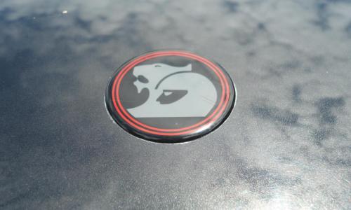 HSV GTS VP 1992 front HSV badge bonnet.JPG