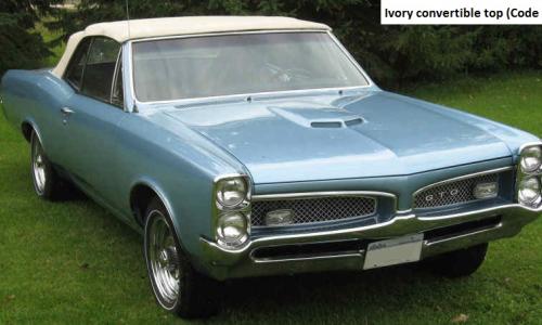 Ivory convertible top 1967 GTO 3.jpg