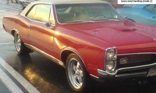 Ivory vinyl roof Pontiac GTO 1967.jpg