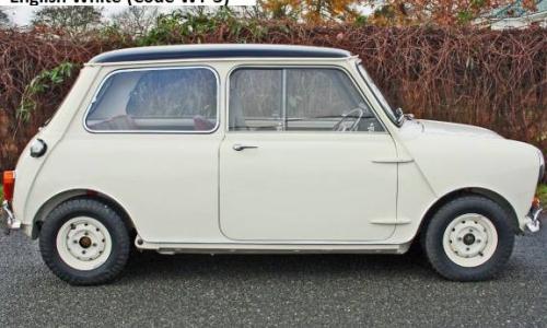 MK1 Old English White 1.jpg