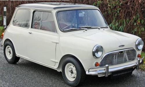 MK1 Old English White.jpg
