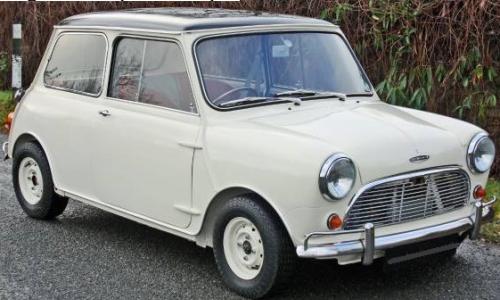 MK1 Old English White.jpg