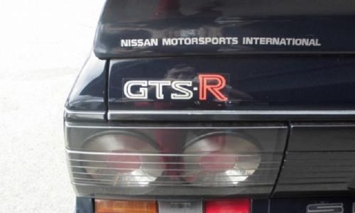 Nissan Skyline R31 GTS-R badges and decals (2).JPG