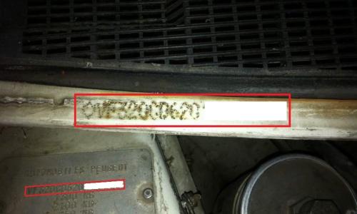Phase 1.5 Peugeot 205 GTI Chassis number (1).jpg