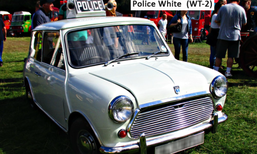 Police White copy.png