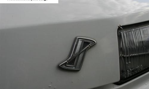 RS X Turbo C Skyline badge.jpg