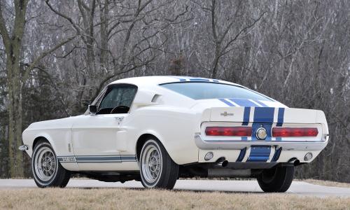 Rear Shelby GT 500 1.jpg