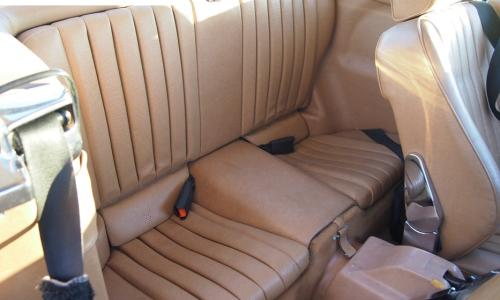 Rear area.jpg
