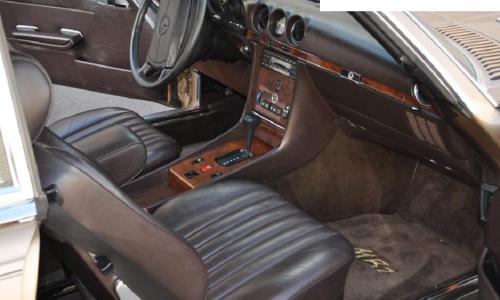 Saddle Interior brown.JPG