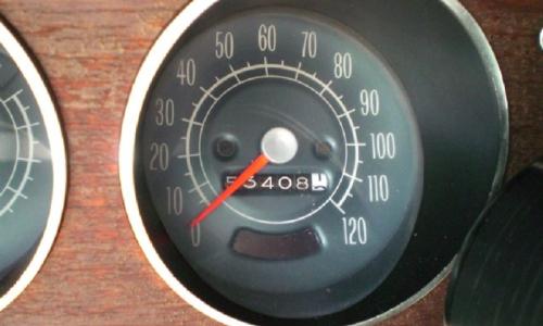 Speedo close up.jpg