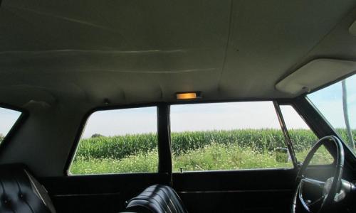 Studebaker Sports Sedan 1965 roof lining interior image.jpg