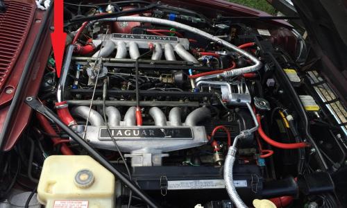 VIN XJS engine number location V12.jpg