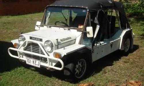 White moke californian.jpg