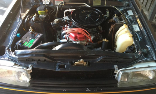 XE ESP fairmont Ghia 4.1l carburetor engine image.png