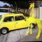 1977 Leyland Mini S yellow for sale (4).jpg