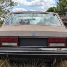 1982 Rolls Royce Silver Spirit bullit proof sedan abandoned for sale (6).jpg