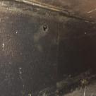 IMG_4664.jpeg