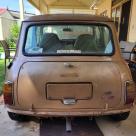 Nugget gold paint mini ls 1275 2023 (1).jpg