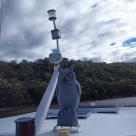 Sea Owl 40 foot timber Gentlemans Cruiser white over Blue hull Australia (16).jpg