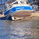 Timber boat sea owl sunk Dangar Island NSW 40 ft washed ashore.jpg