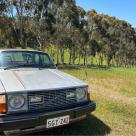 Volvo 242 GT coupe Australia 2025 pictures (17).jpg