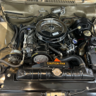 Yukon Gold Studebaker Daytona convertible 2024 R1 289 1964 (22).png